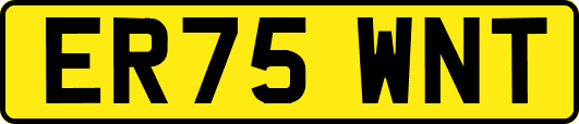 ER75WNT
