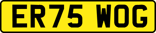 ER75WOG