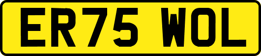 ER75WOL