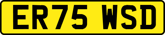 ER75WSD