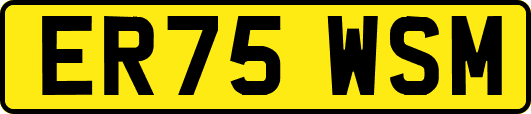 ER75WSM
