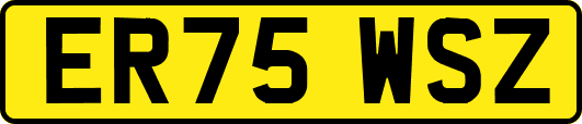ER75WSZ