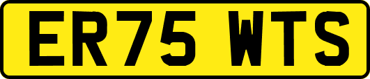 ER75WTS