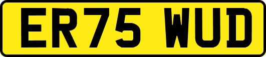ER75WUD