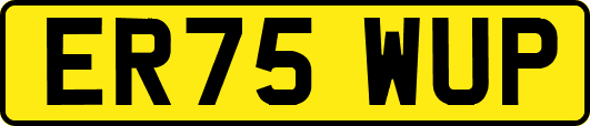 ER75WUP