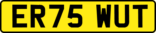 ER75WUT