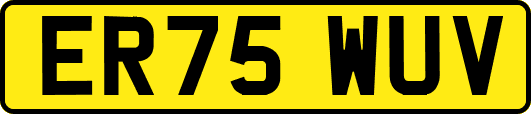 ER75WUV