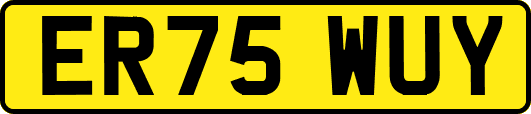 ER75WUY