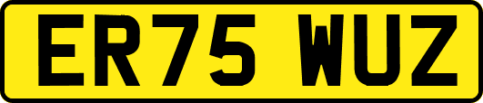 ER75WUZ