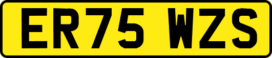 ER75WZS