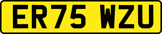 ER75WZU