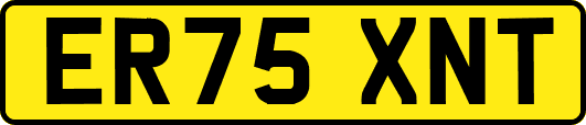ER75XNT