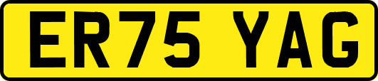 ER75YAG