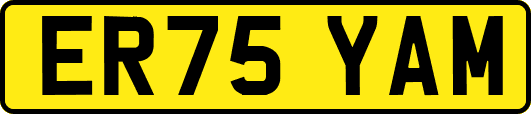 ER75YAM