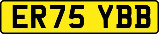 ER75YBB