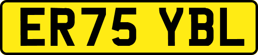 ER75YBL