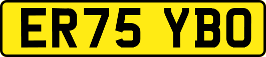 ER75YBO