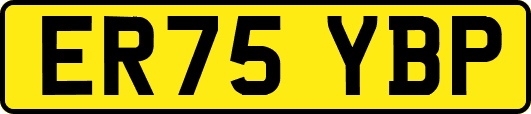 ER75YBP