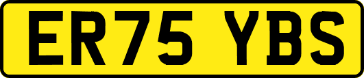 ER75YBS