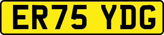 ER75YDG