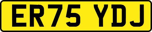 ER75YDJ