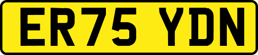 ER75YDN