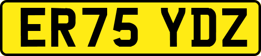 ER75YDZ