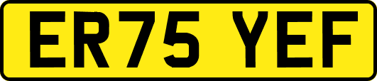 ER75YEF