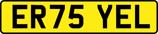 ER75YEL