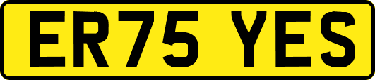 ER75YES