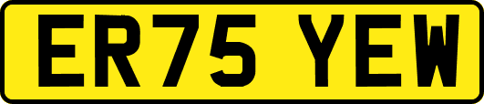 ER75YEW