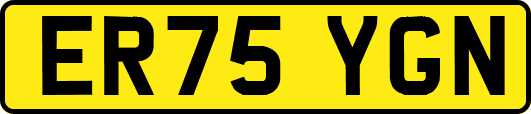ER75YGN