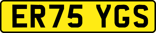 ER75YGS