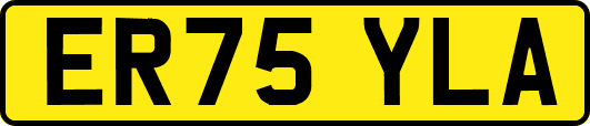 ER75YLA
