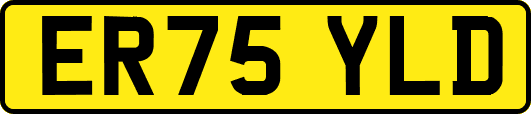 ER75YLD