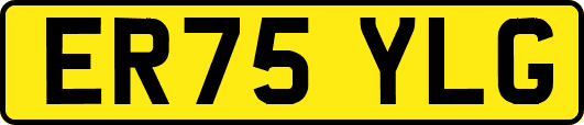 ER75YLG