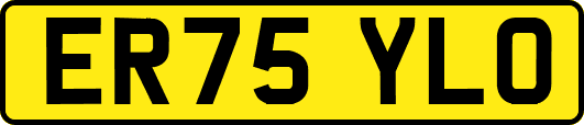 ER75YLO