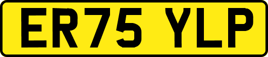 ER75YLP