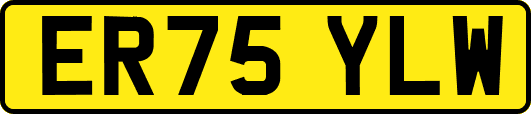 ER75YLW