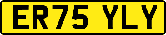 ER75YLY