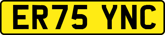 ER75YNC