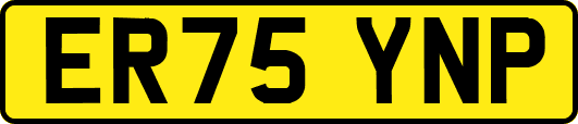 ER75YNP