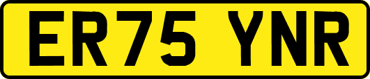 ER75YNR
