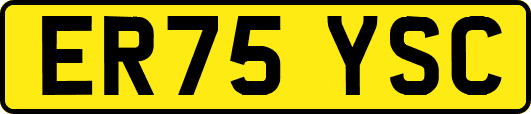 ER75YSC