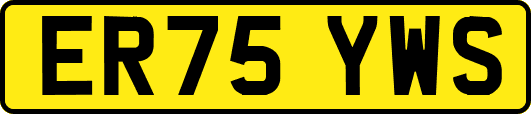 ER75YWS