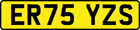 ER75YZS