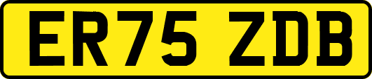 ER75ZDB