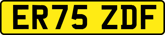 ER75ZDF