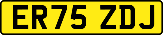 ER75ZDJ