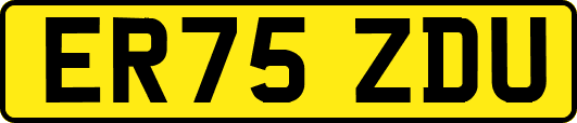 ER75ZDU
